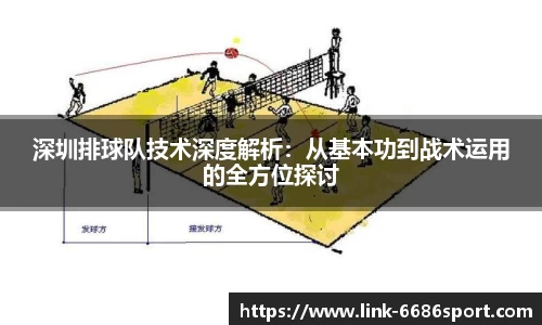 深圳排球队技术深度解析：从基本功到战术运用的全方位探讨