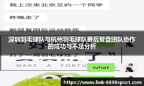 深圳羽毛球队与杭州羽毛球队赛后复盘团队协作的成功与不足分析